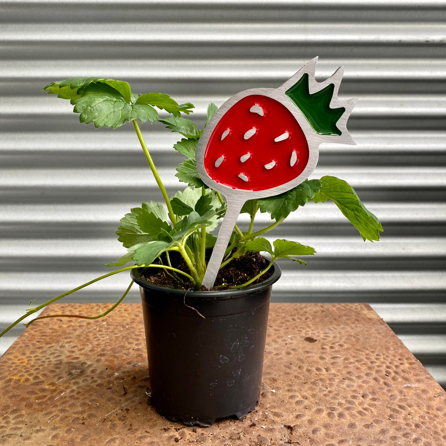 Strawberry