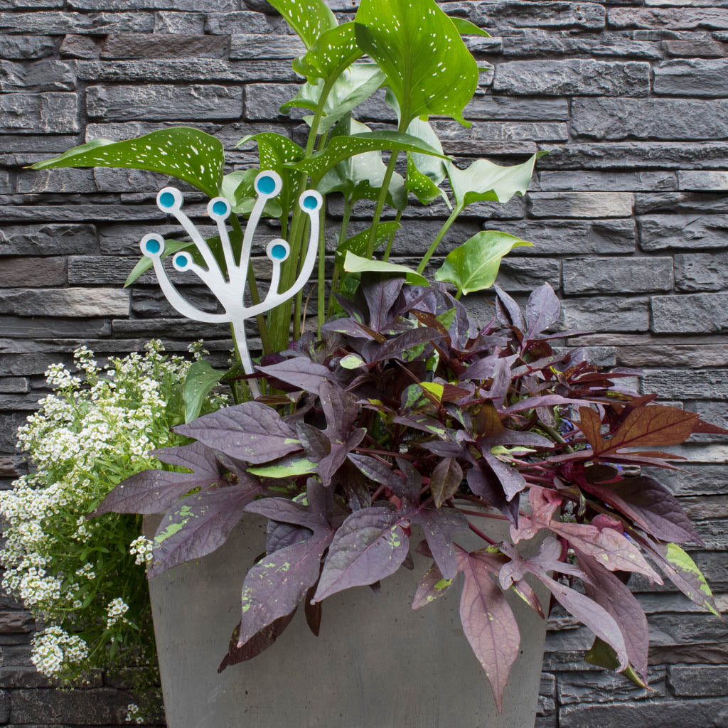 Seaweed Garden Art