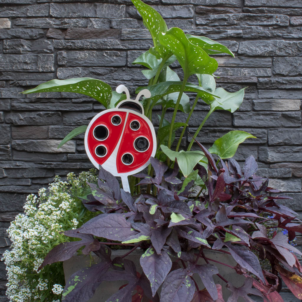 Bug Garden Art