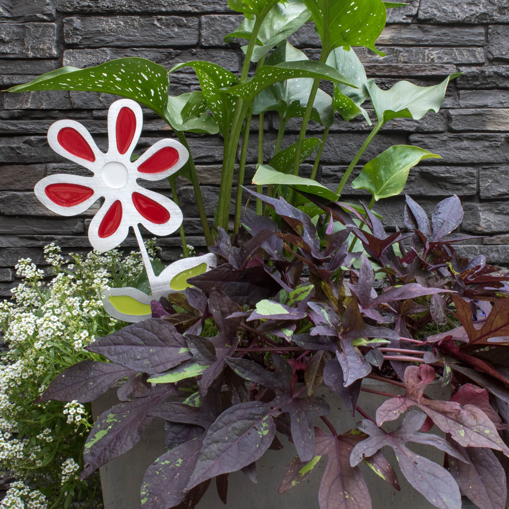 Daisy Garden Art 2