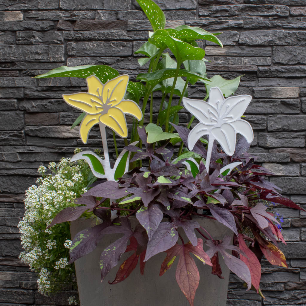 Lily Garden Art