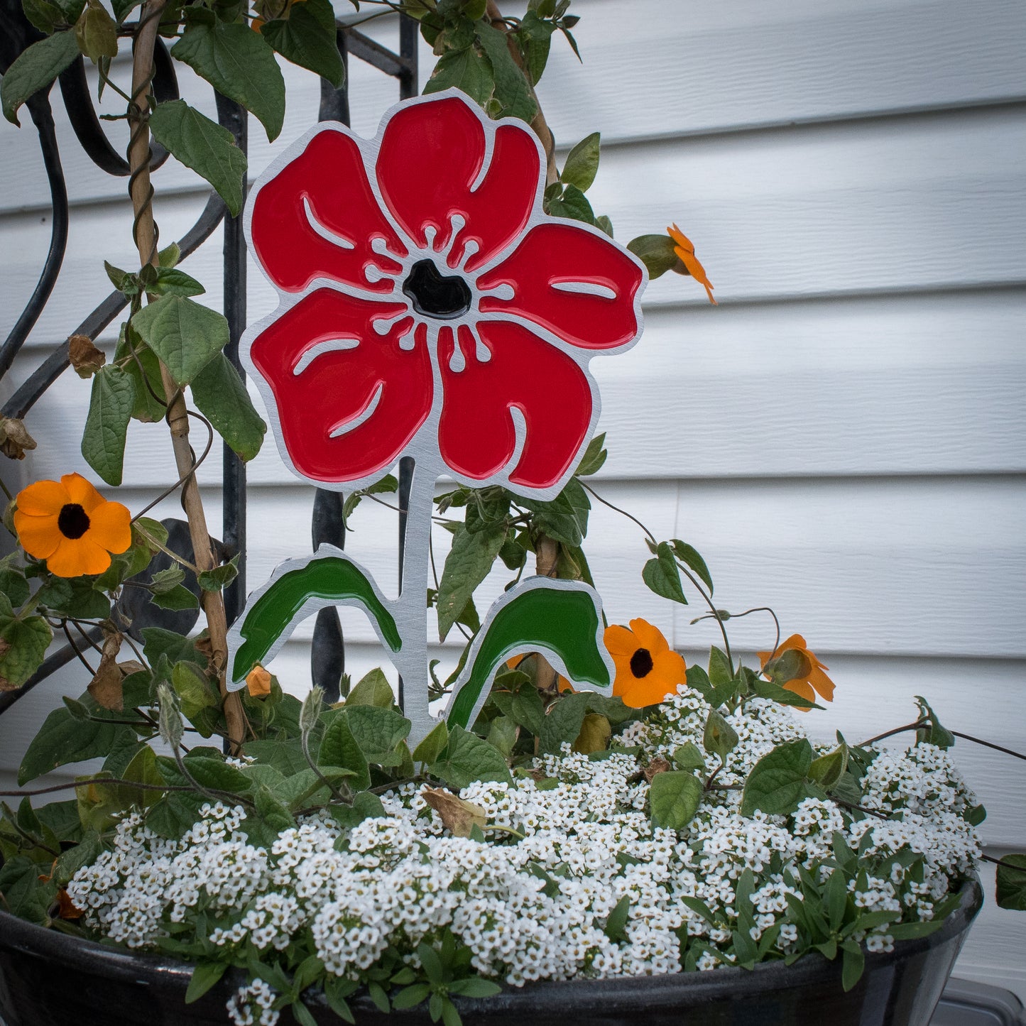 Poppy Garden Art