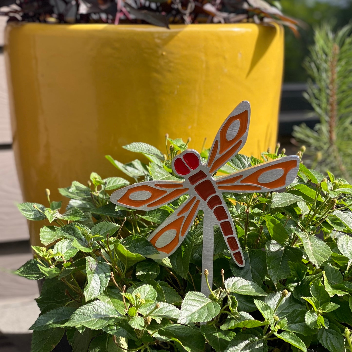 Dragonfly Garden Art