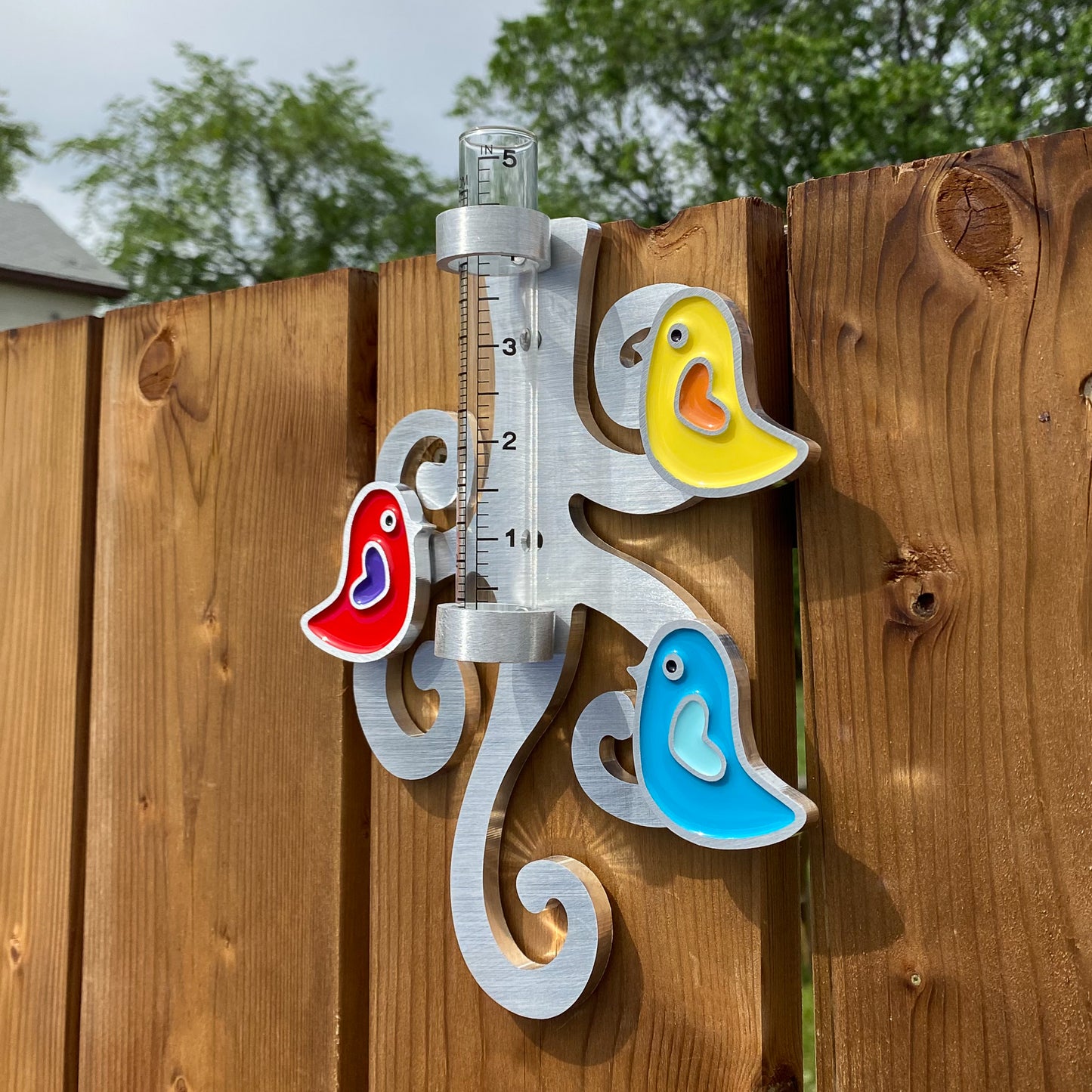 Bird Rain Gauge