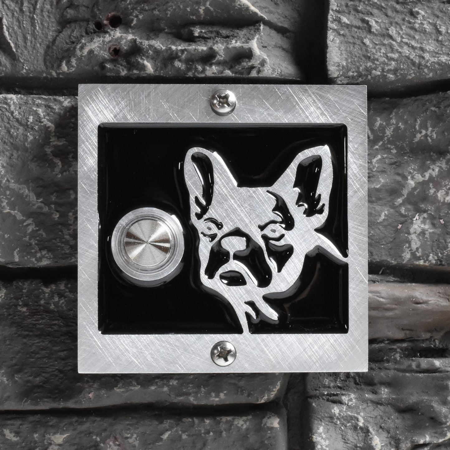 Frenchie