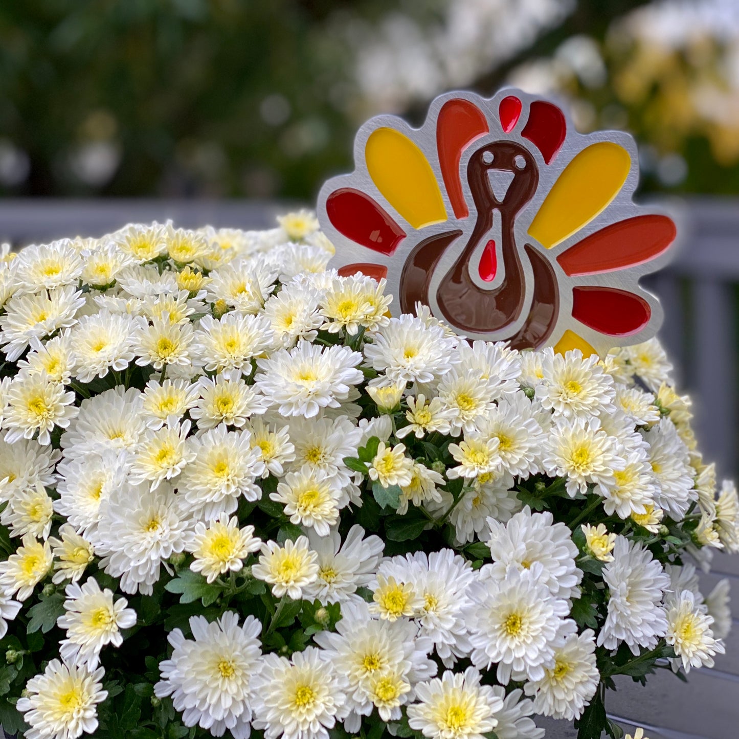 Turkey Garden Art