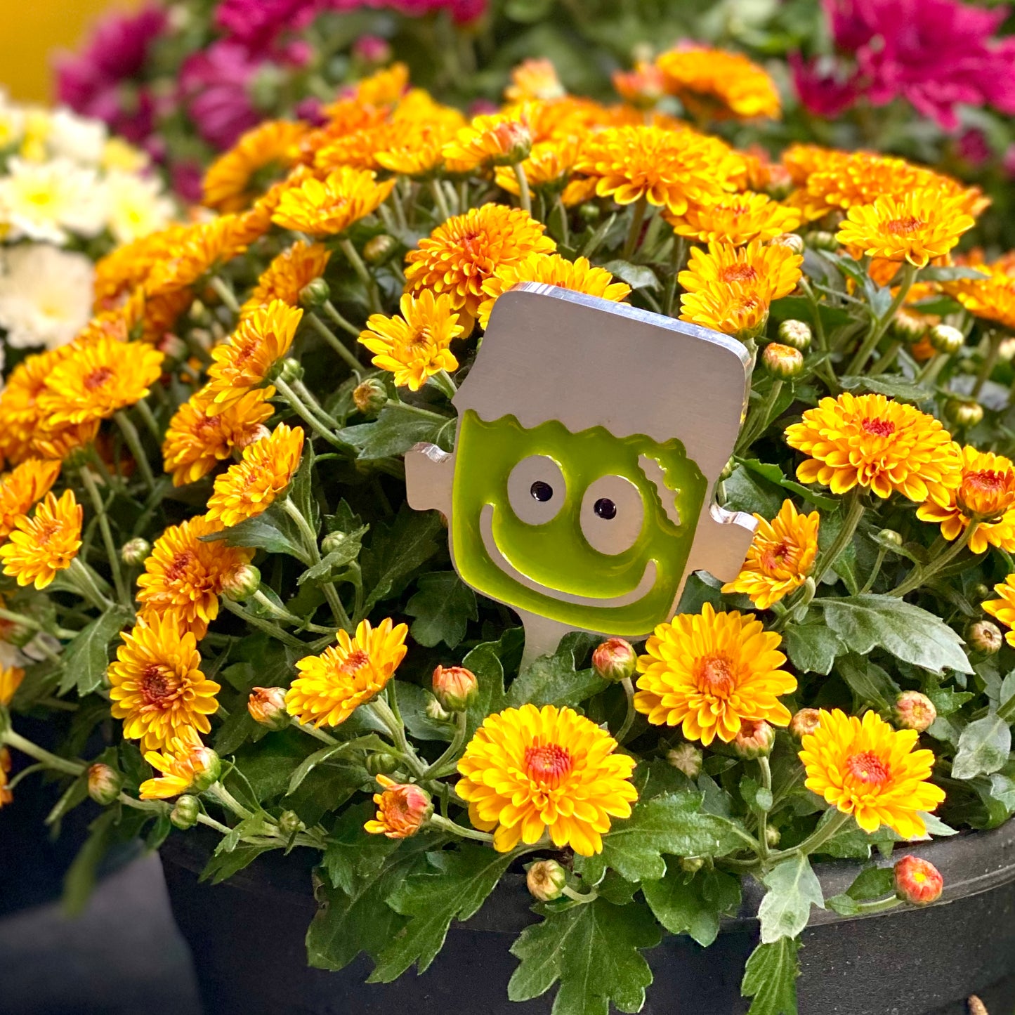 Frankenstein Planter Poke