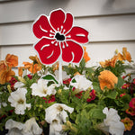 Poppy Garden Art