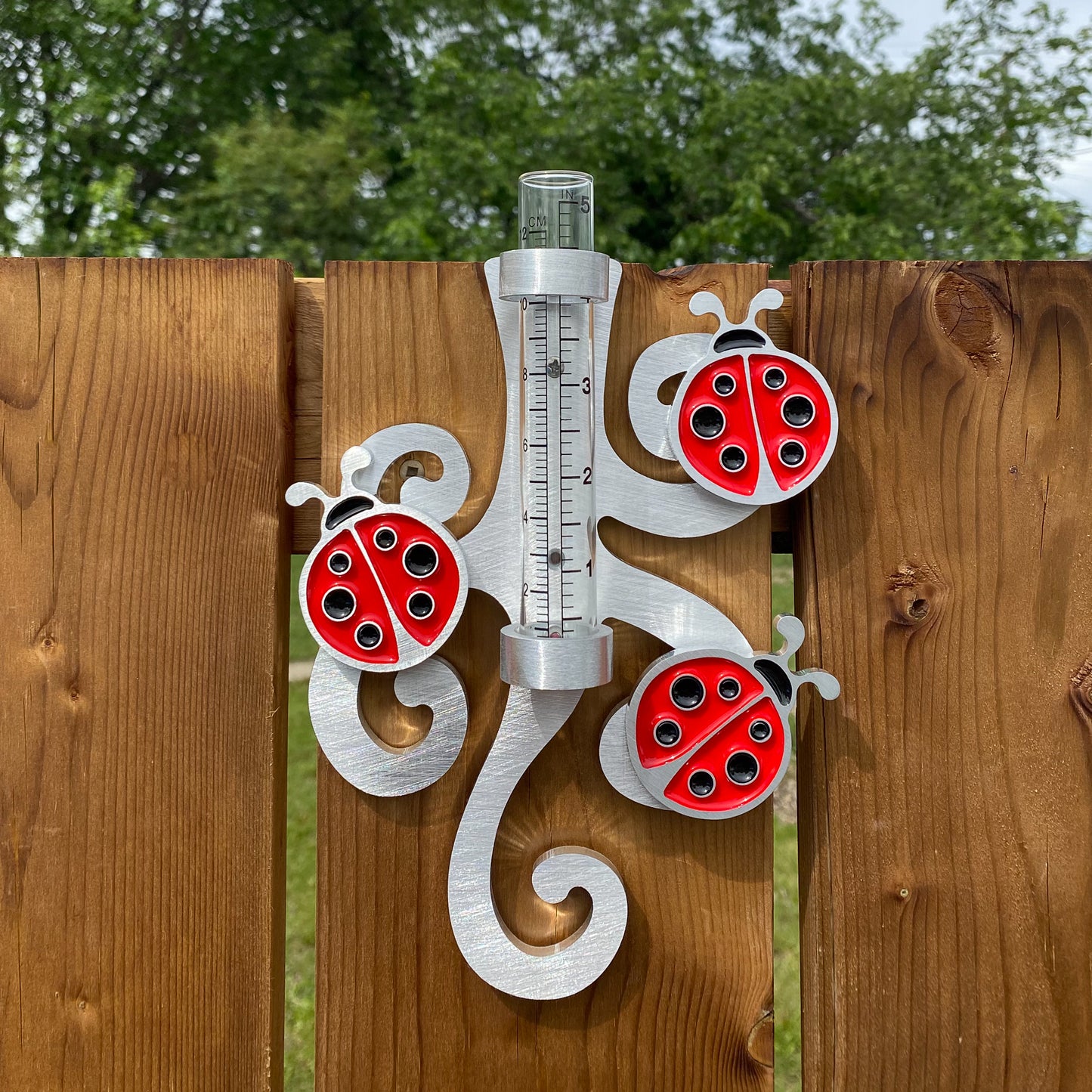 Ladybug Rain Gauge