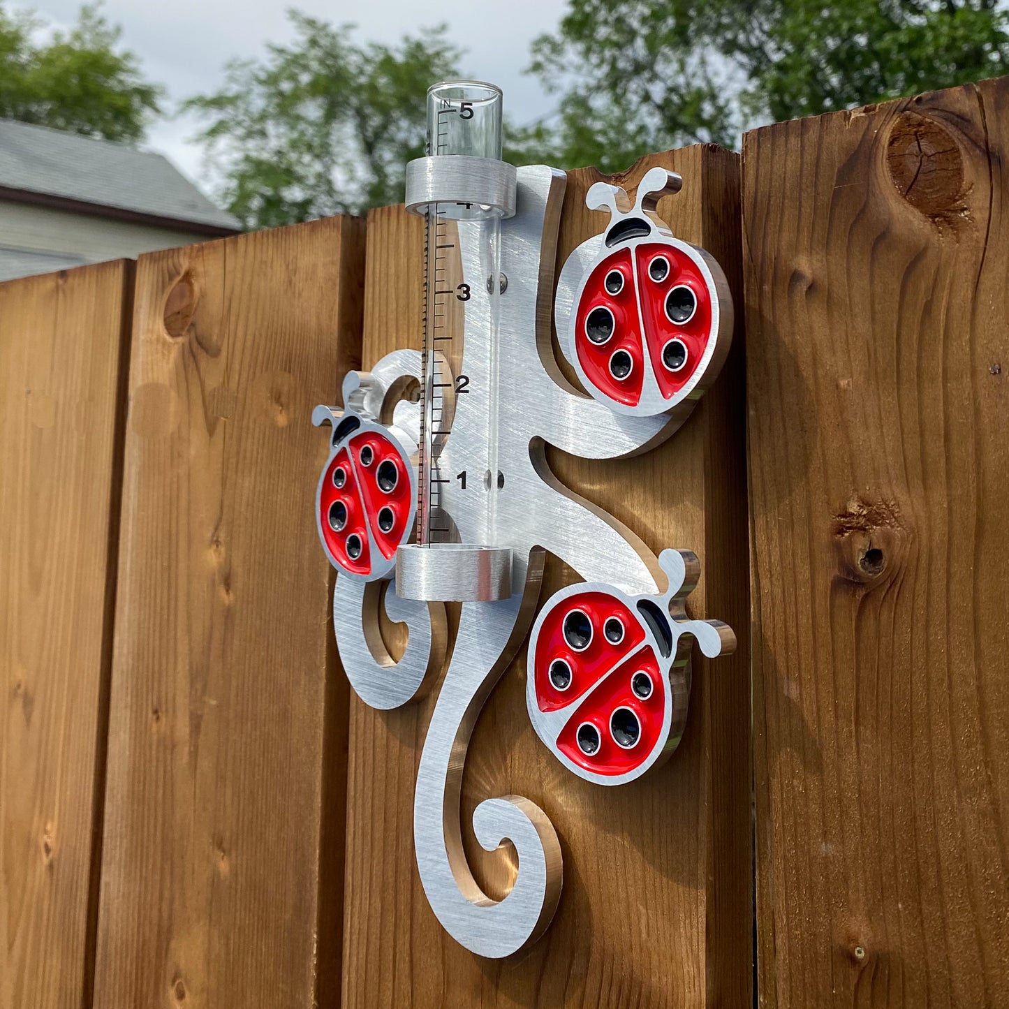 Ladybug Rain Gauge