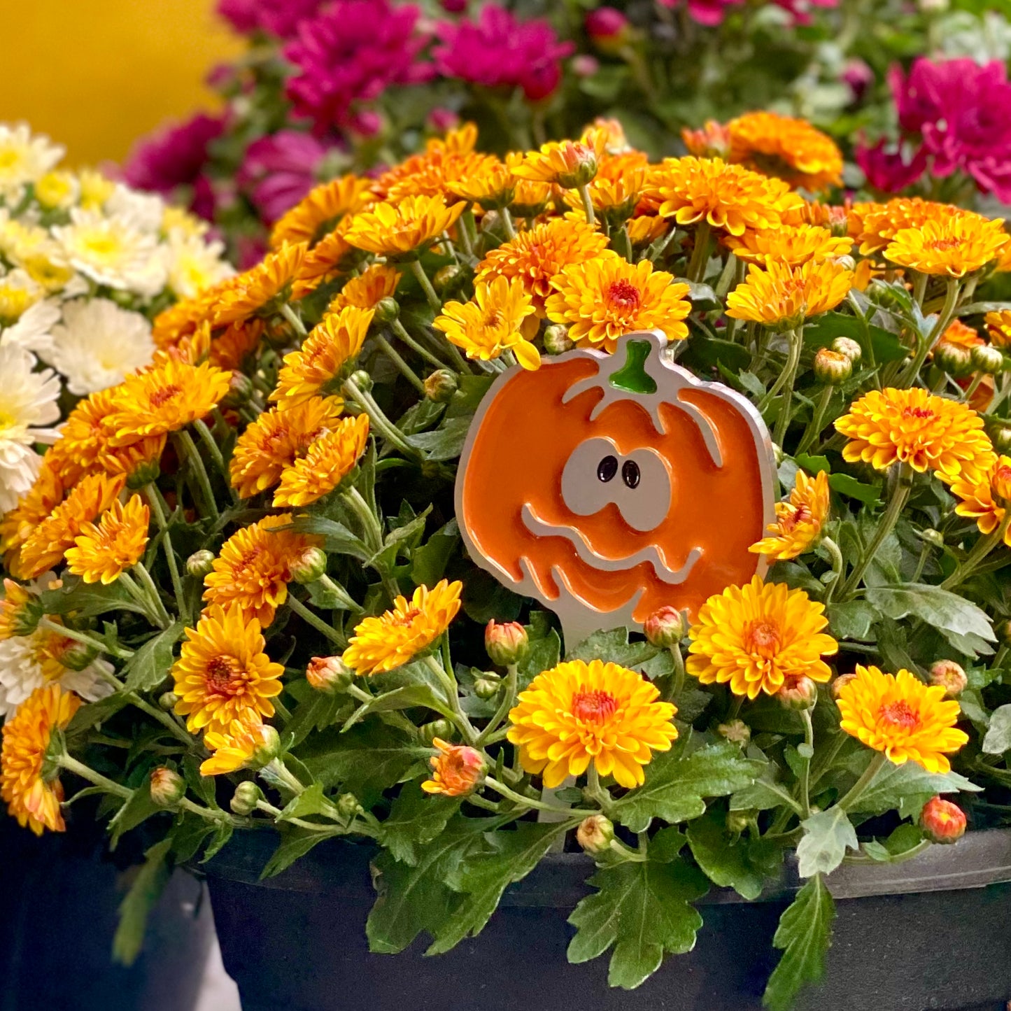 Pumpkin Planter Poke